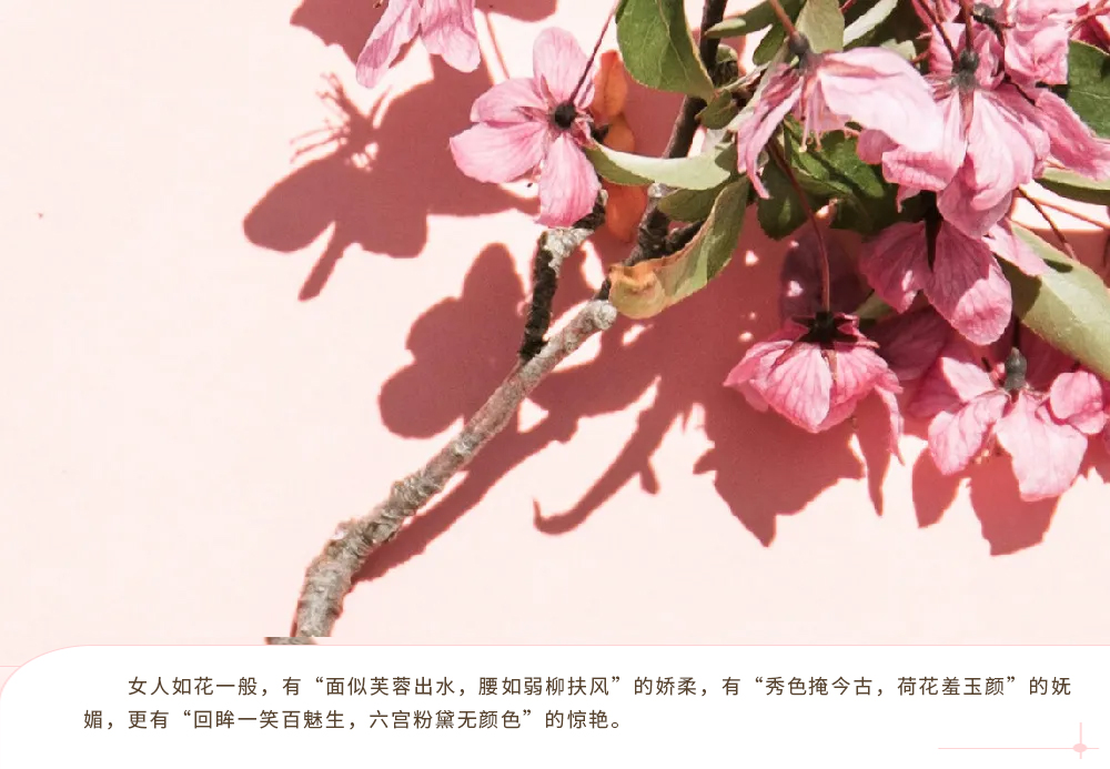 【MAX麦斯】三八女神节“花艺大赛”精彩纷呈