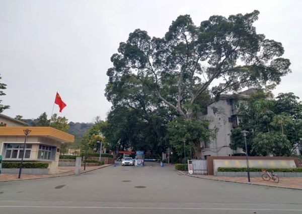 【MAX】&广州市医院