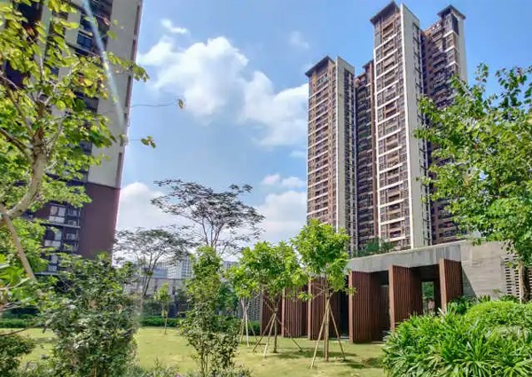 【MAX】&广州市地产企业