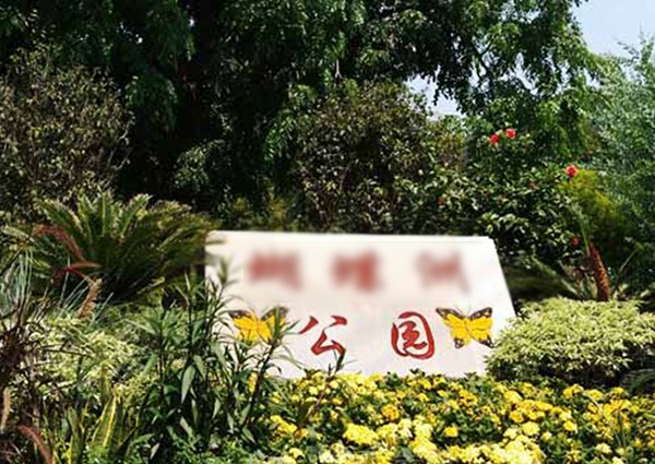 【MAX】&广州市公园