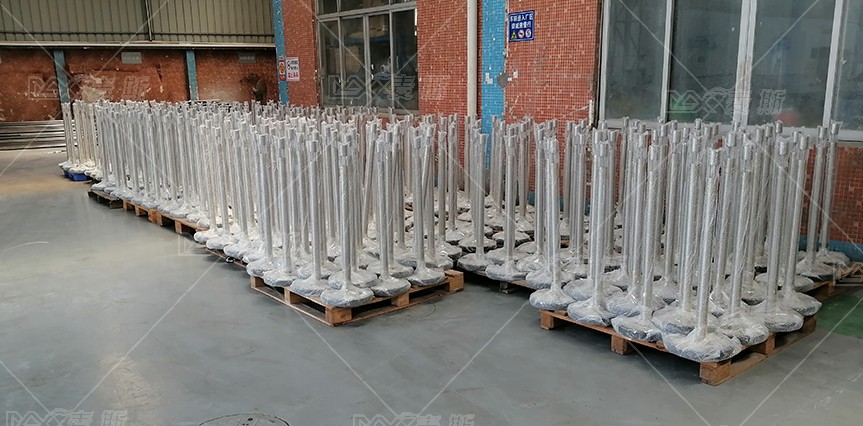 【MAX】&南非运动会