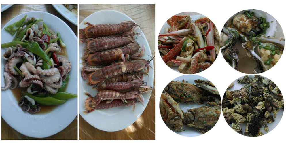2014年麦斯红海湾夏日风情之旅 2014年麦斯红海湾夏日风情之旅