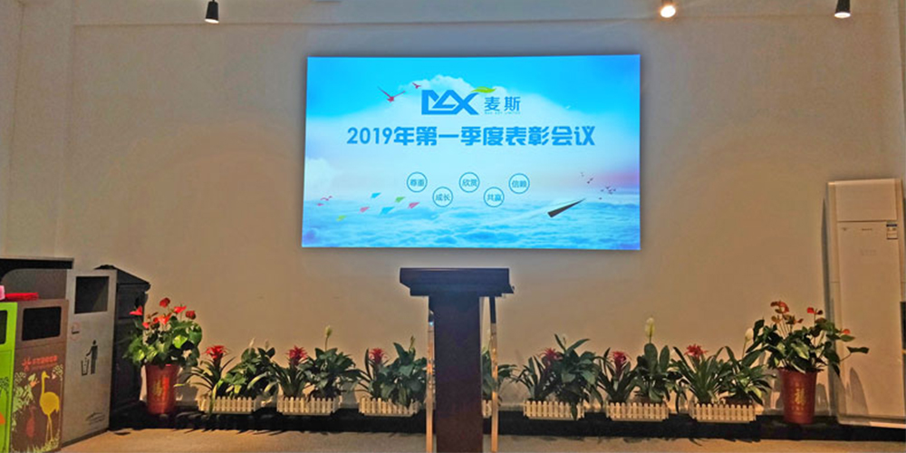 麦斯2019年第一季度工作表彰会议